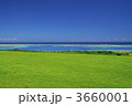 3660001