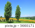 丘の風景