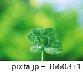 3660851