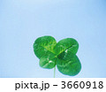 3660918