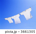 3661305