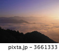 3661333