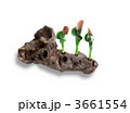 3661554