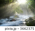 3662375