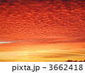 3662418