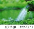 3662474