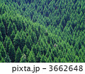 3662648