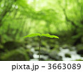 3663089