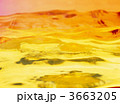 3663205