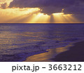 3663212