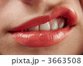 3663508