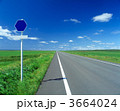3664024