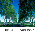 3664097