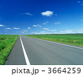 3664259
