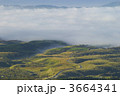 3664341