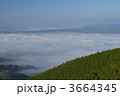 3664345