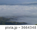 3664348