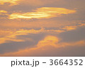 3664352