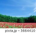 3664410