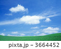 3664452