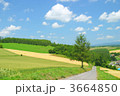 3664850