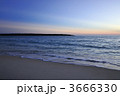 3666330