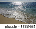 3666495