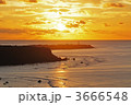 3666548