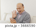 3666590