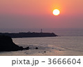 3666604