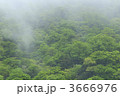 3666976