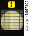 3667300