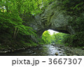 3667307