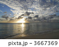 3667369