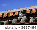 3667464