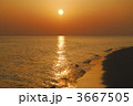 3667505