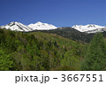 3667551