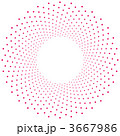 3667986