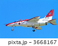 レッドドルフィン