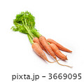 葉つきにんじん