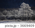 3669409