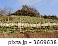 箱根干し大根すだれ