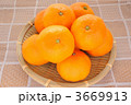 みかん