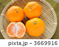みかん