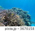 3670158