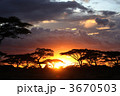 アフリカ 平和な夕日