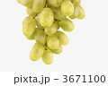 3671100