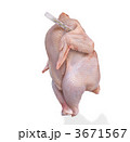 3671567
