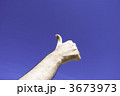 3673973