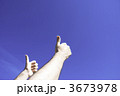 3673978